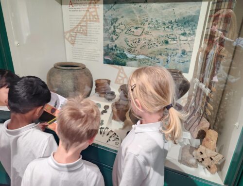 Year 3 Verulamium Museum Visit